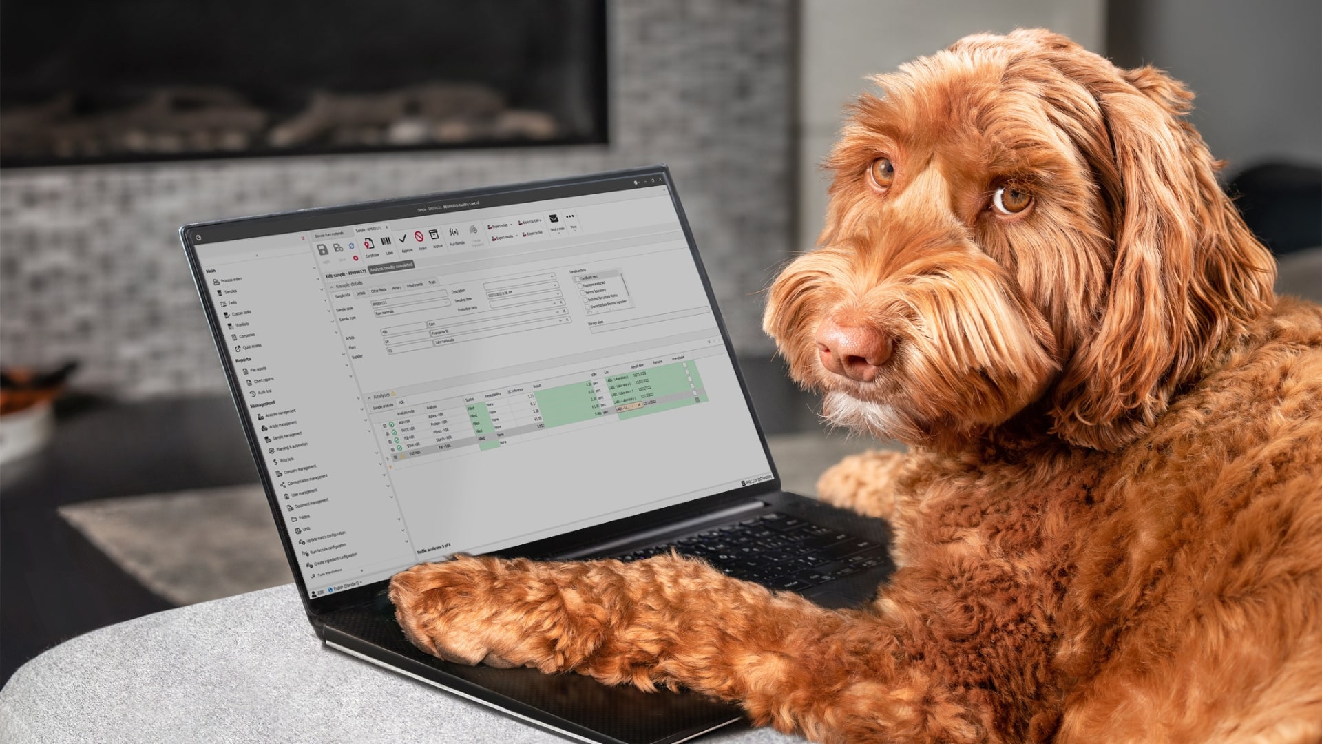 BESTMIX Software for pet food producers